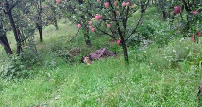 गुड्डर के घने जंगलों में मुठभेड़